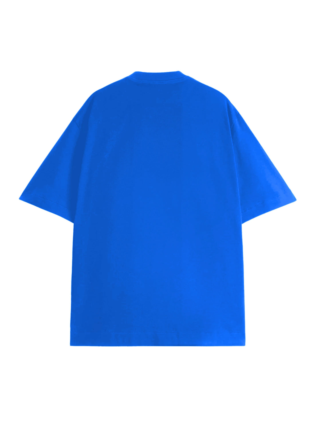 Not Built for Stupidity Oversized Tee